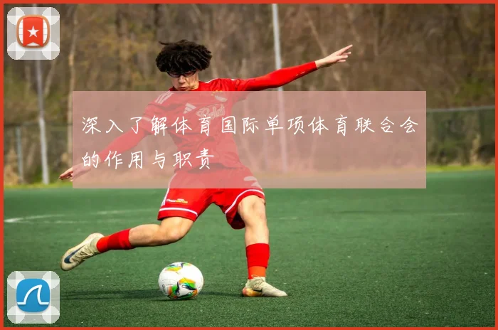 深入了解体育国际单项体育联合会的作用与职责