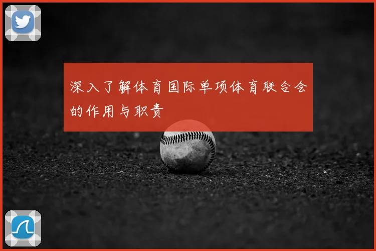 深入了解体育国际单项体育联合会的作用与职责