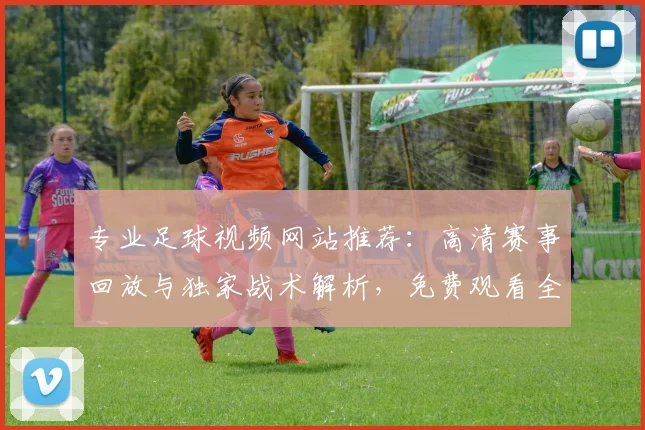 专业足球视频网站推荐:高清赛事回放与独家战术解析,免费观看全攻略