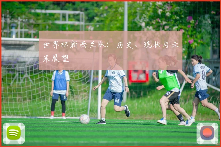 世界杯新西兰队:历史、现状与未来展望